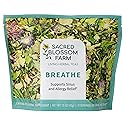 Breathe Herbal Tea | Sacred Blossom Farm | 1.9 oz. Loose Leaf | Sinus and Allergy Relief* | Organically Grown in Wisconsin | Herbal Tea & Medicinal