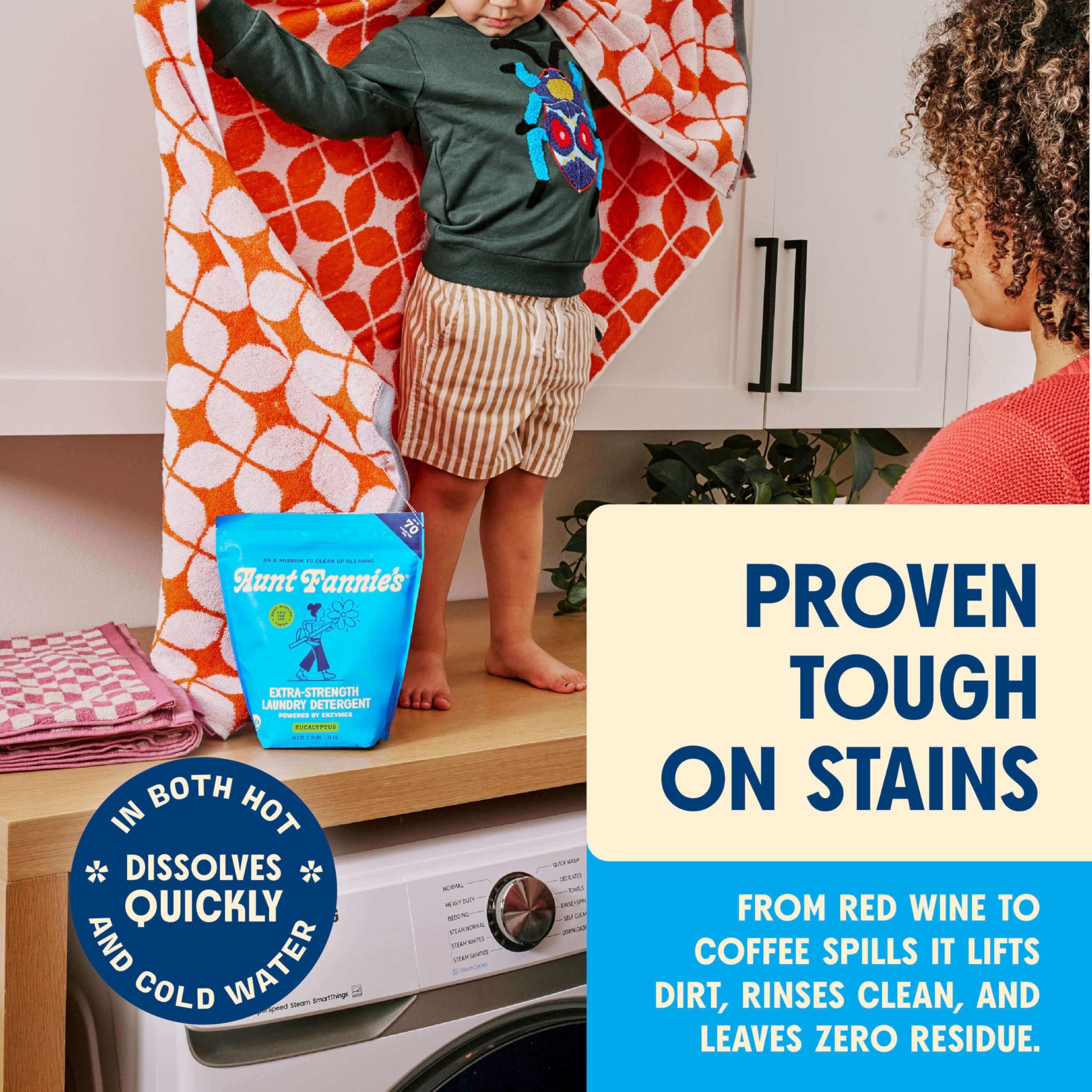 Aunt Fannie's Extra Strength Powder Laundry Detergent, Stain Fighting, Plant Based, Natural Ingredients, 70 Loads Per Bag, Eucalyptus, 44 Oz