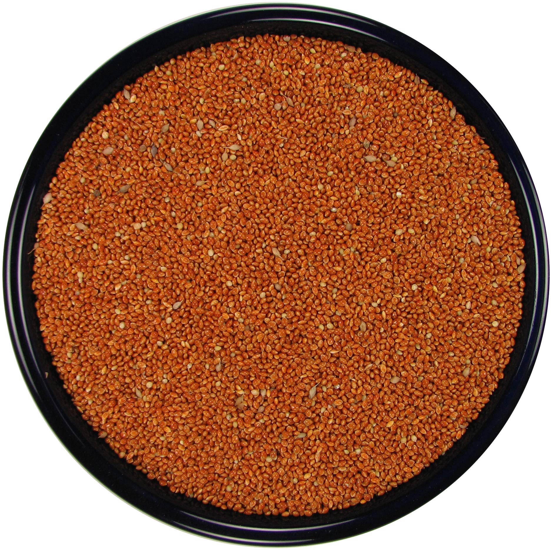 All Natural Red Proso Millet (20 lbs.)