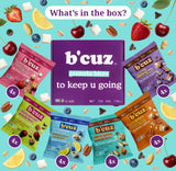 B’cuz Granola Bites Variety Pack, 6 Flavors, Gluten Free, Dairy Free, Vegan & Kosher Snacks, On-the-Go Breakfast Snack Packs for Kids & Adults, 1 oz