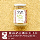 Burlap & Barrel Buffalo Ginger - Spicy, Fruity and Intense Heirloom Ginger Powder with a Bite - Add to Stir Fries, Soups, and Teas - 1.8oz Glass Jar