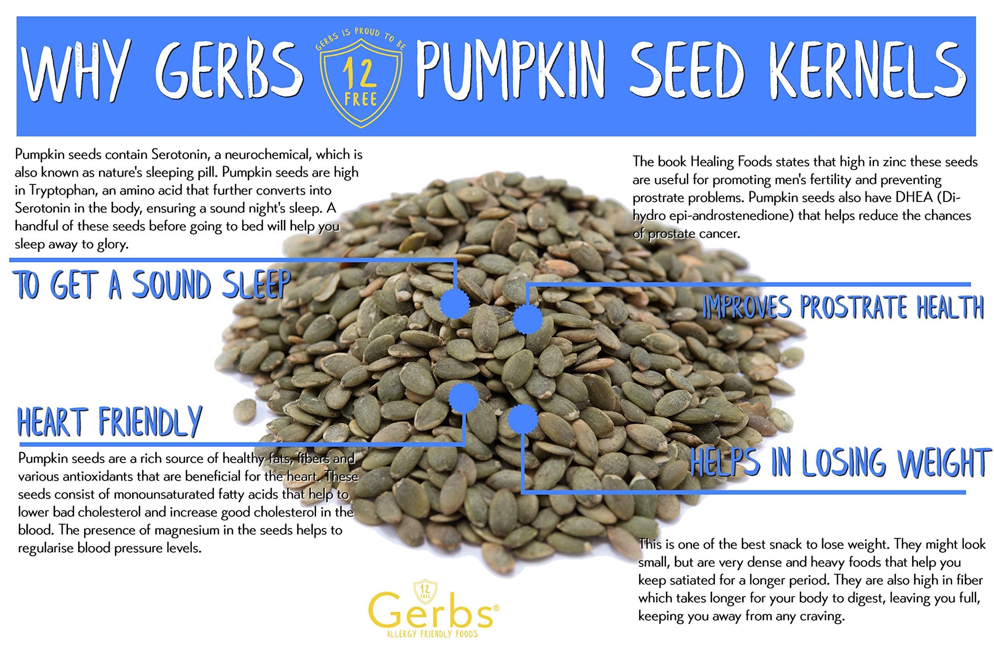 GERBS Sea Salted Pumpkin Seed Kernels 4 LBS|Top 14 Allergy Free Food |Use in salads, yogurt, baking, oatmeal, trail mix|Grown in Canada, packed in US