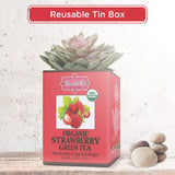 Brew La La Organic Green Tea - Natural Strawberry Flavor - 50 Tea Bag Tin - Low Caffeine - USDA Certified Organic