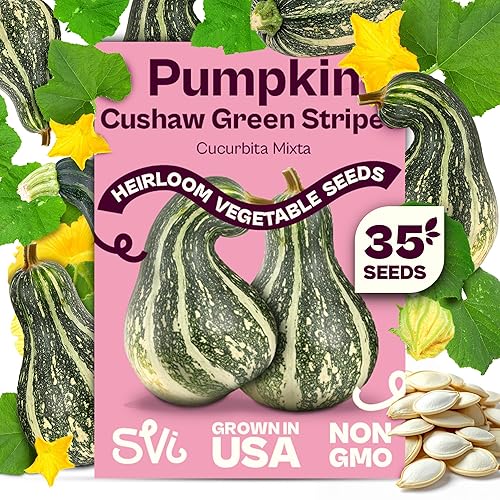 SVI 35 Cushaw Green Striped Pumpkin Seeds (Cucurbita mixta) - Cushaw Squash, Non GMO Winter Squash Seed Packets - Heirloom Vegetable Seeds