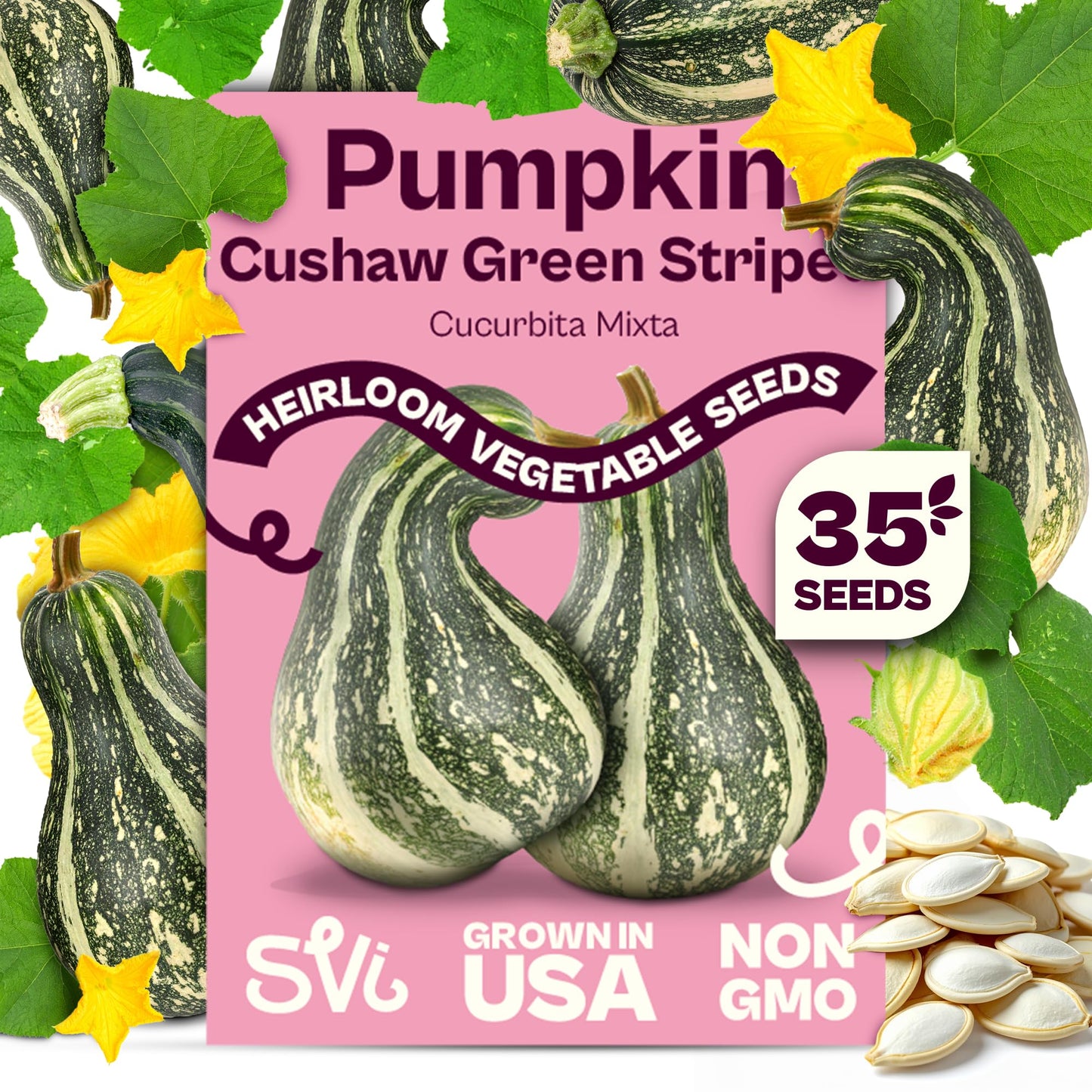 SVI 35 Cushaw Green Striped Pumpkin Seeds (Cucurbita mixta) - Cushaw Squash, Non GMO Winter Squash Seed Packets - Heirloom Vegetable Seeds