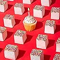 The Marshmallow Shop Birthday Cake Gourmet Marshmallows (6 Count) - Handcrafted Cake Batter Marshmallows with Sprinkles, Artisanal Candy Treat
