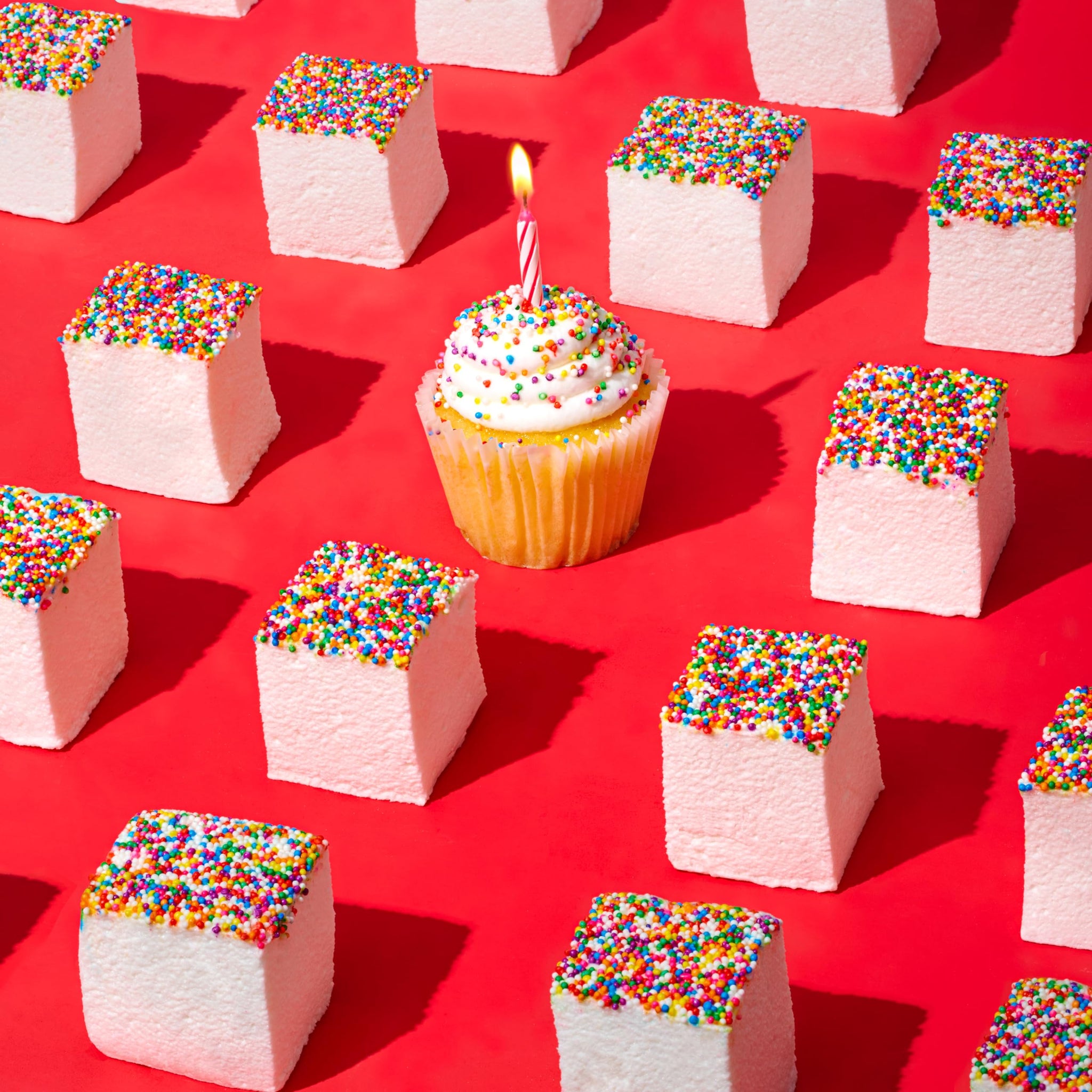 The Marshmallow Shop Birthday Cake Gourmet Marshmallows (6 Count) - Handcrafted Cake Batter Marshmallows with Sprinkles, Artisanal Candy Treat