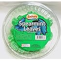 Zachary 24oz Jelly Tubs (Spearmint Leaves)