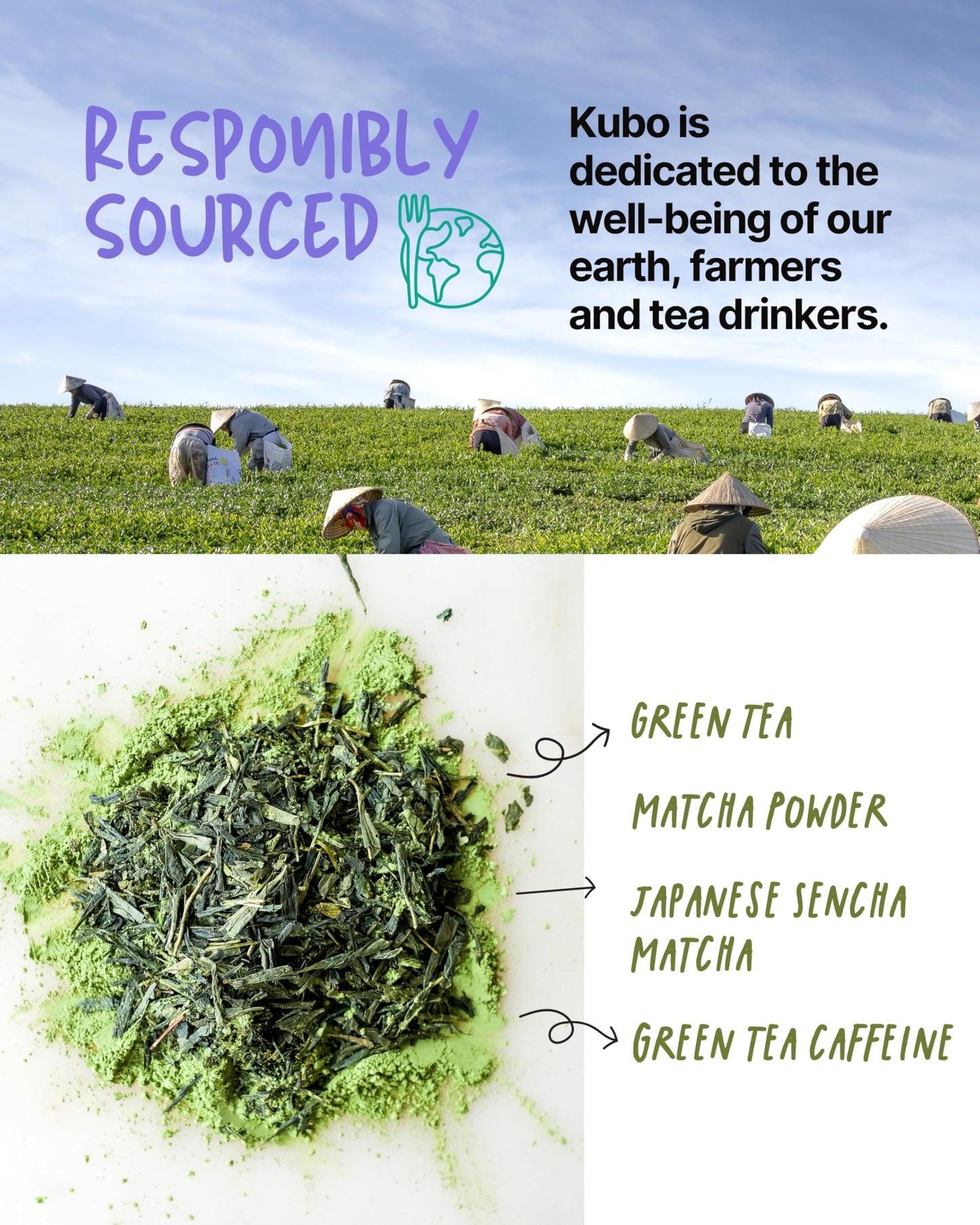 Kubo Japanese Matcha Tea Bags | Organic High Caffeine (140mg) Green Tea + Sencha & Matcha | 20 Pyramid Count | Caffeinated Tea for Clean Energy