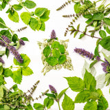 Turtle Herbal Tea | Sacred Blossom Farm | 1.4 oz Loose Leaf | Calm and Wellbeing* | Minimally Processed Wisconsin-Grown Herbal Tea & Medicinal Herbs |