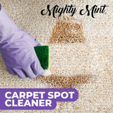 Mighty Mint Carpet Spot Cleaner, Spray to Remove Carpet Stains Instantly, Natural Peppermint Scent, 16oz