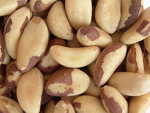 Gourmet Brazil Nuts by Its Delish, 1 lb