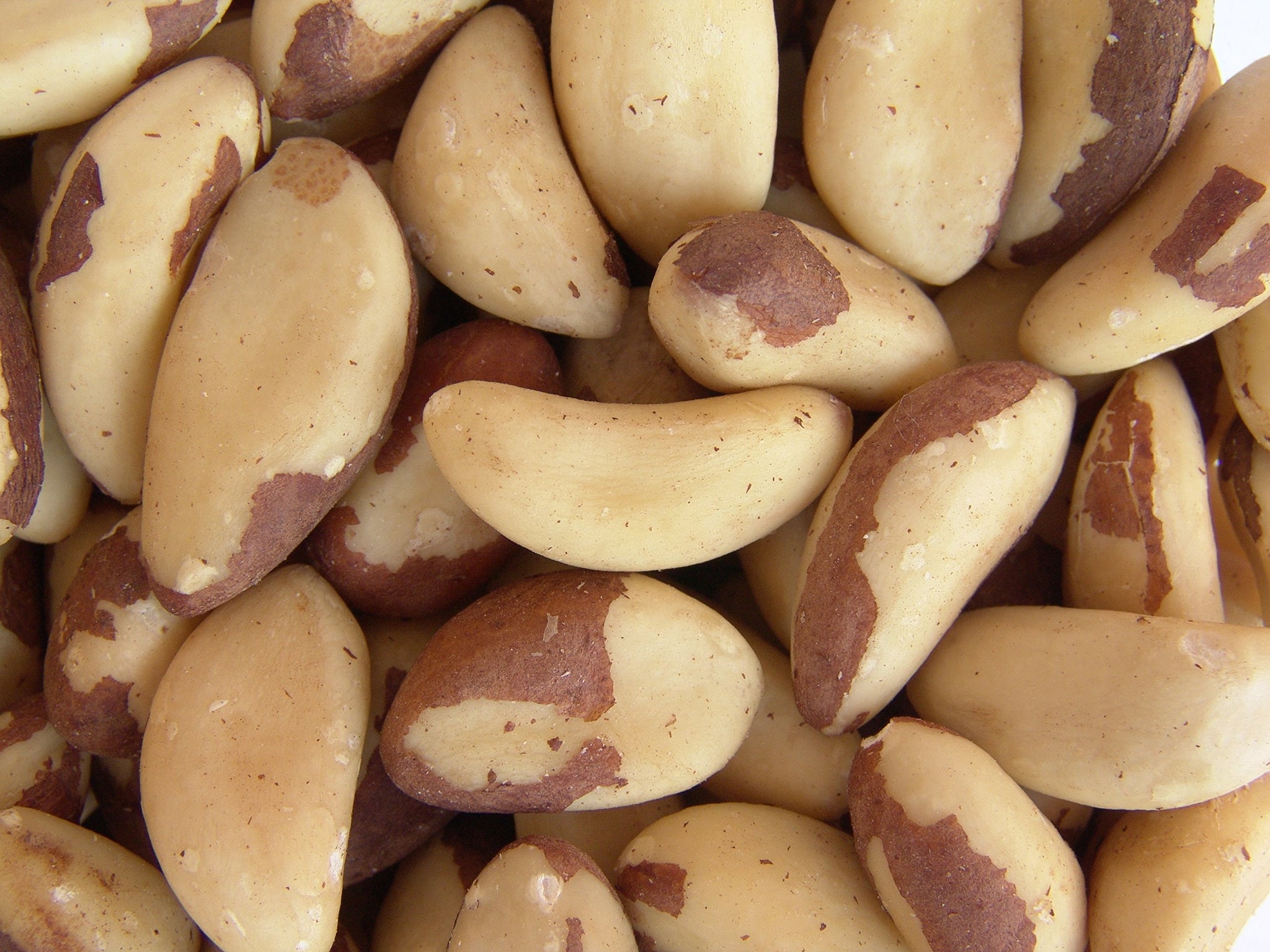 Gourmet Brazil Nuts by Its Delish, 1 lb