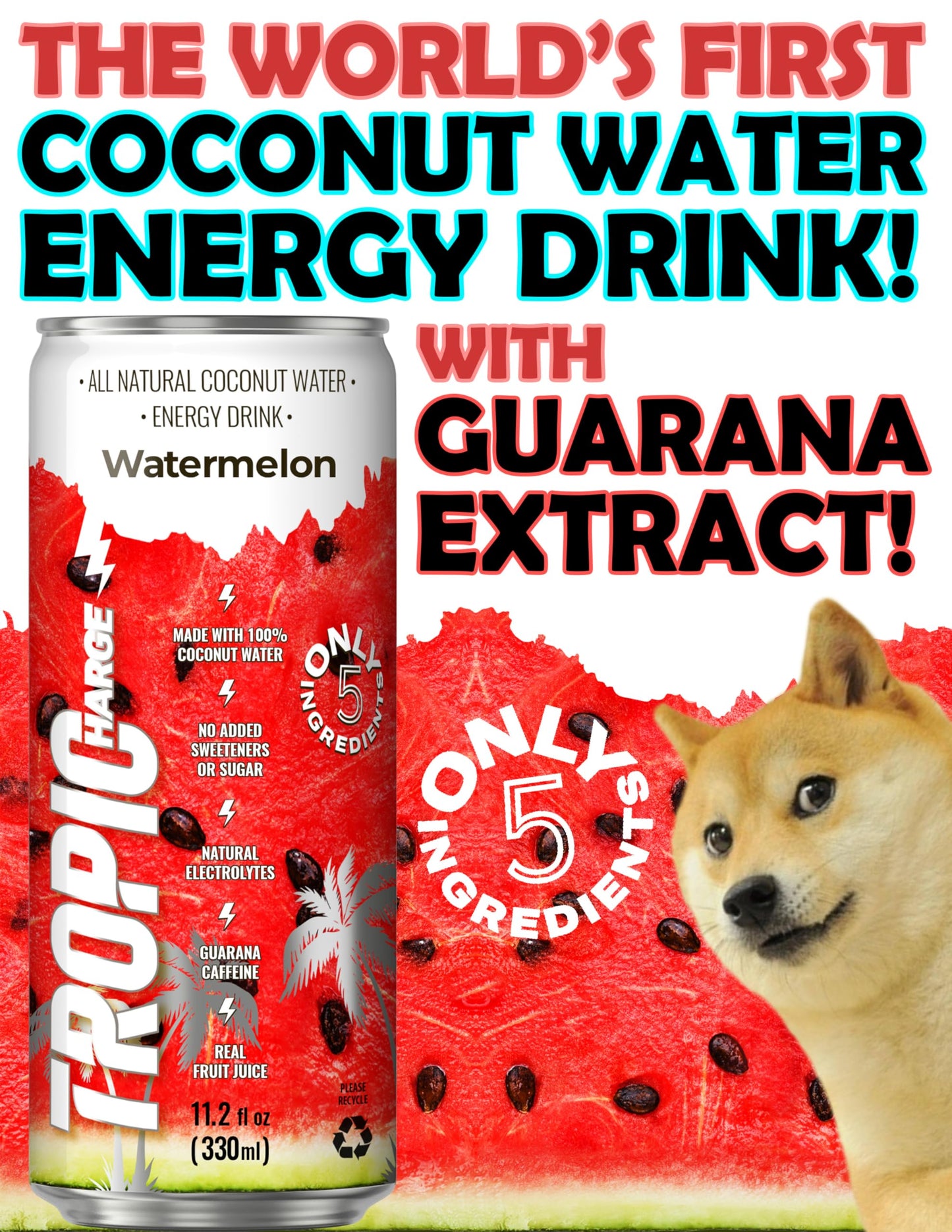 Tropicharge 100% Coconut Water Energy Drink with Guarana Extract (24 pack 330ml/6 flavours) - Zero Sweeteners or Added Sugar - All Natural - Passion