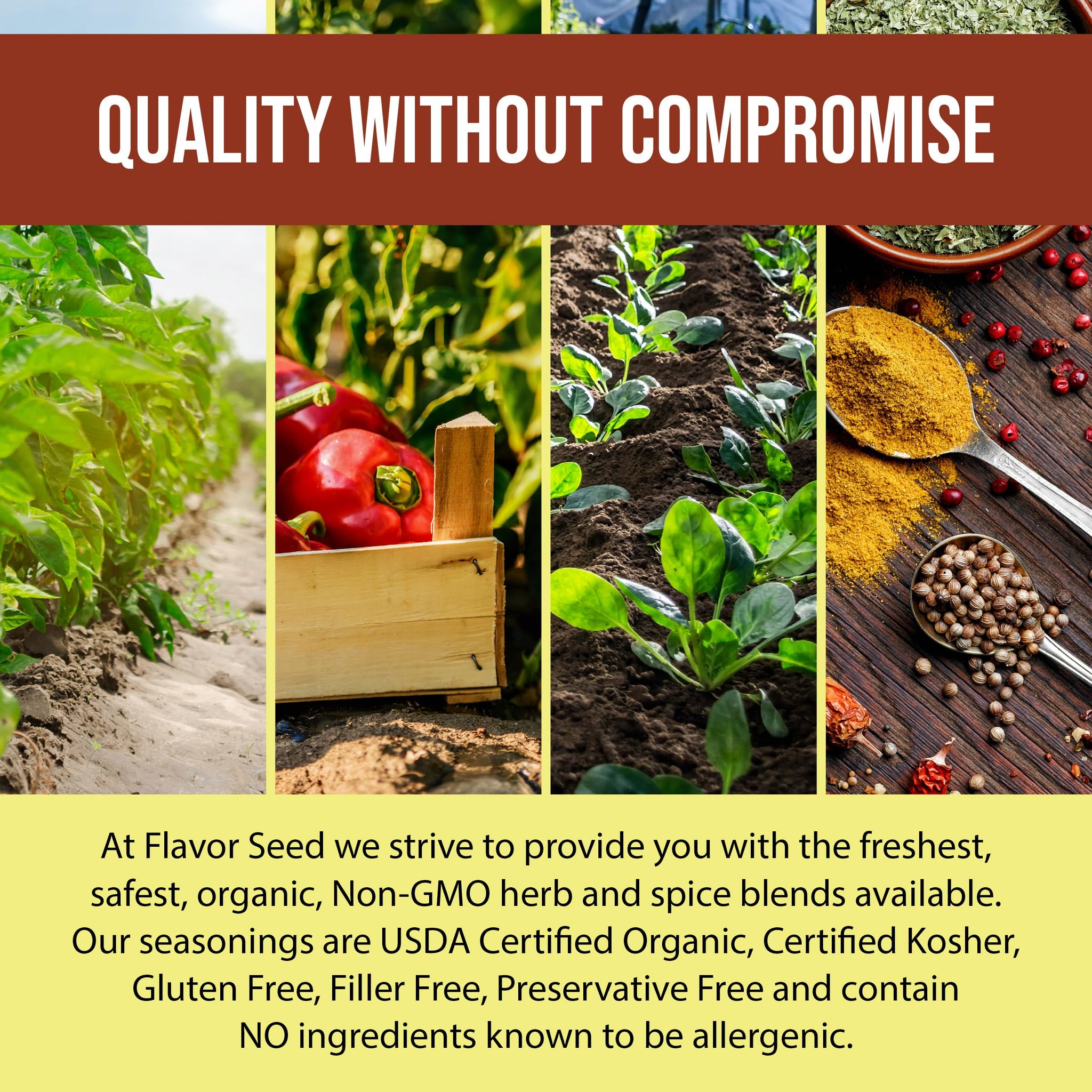 Organic Chicken Seasoning - Anything With Wings by Flavor Seed, Carnivore & Keto Poultry Rub & Wing Dust for Chicken, Quail, Duck, Pheasant