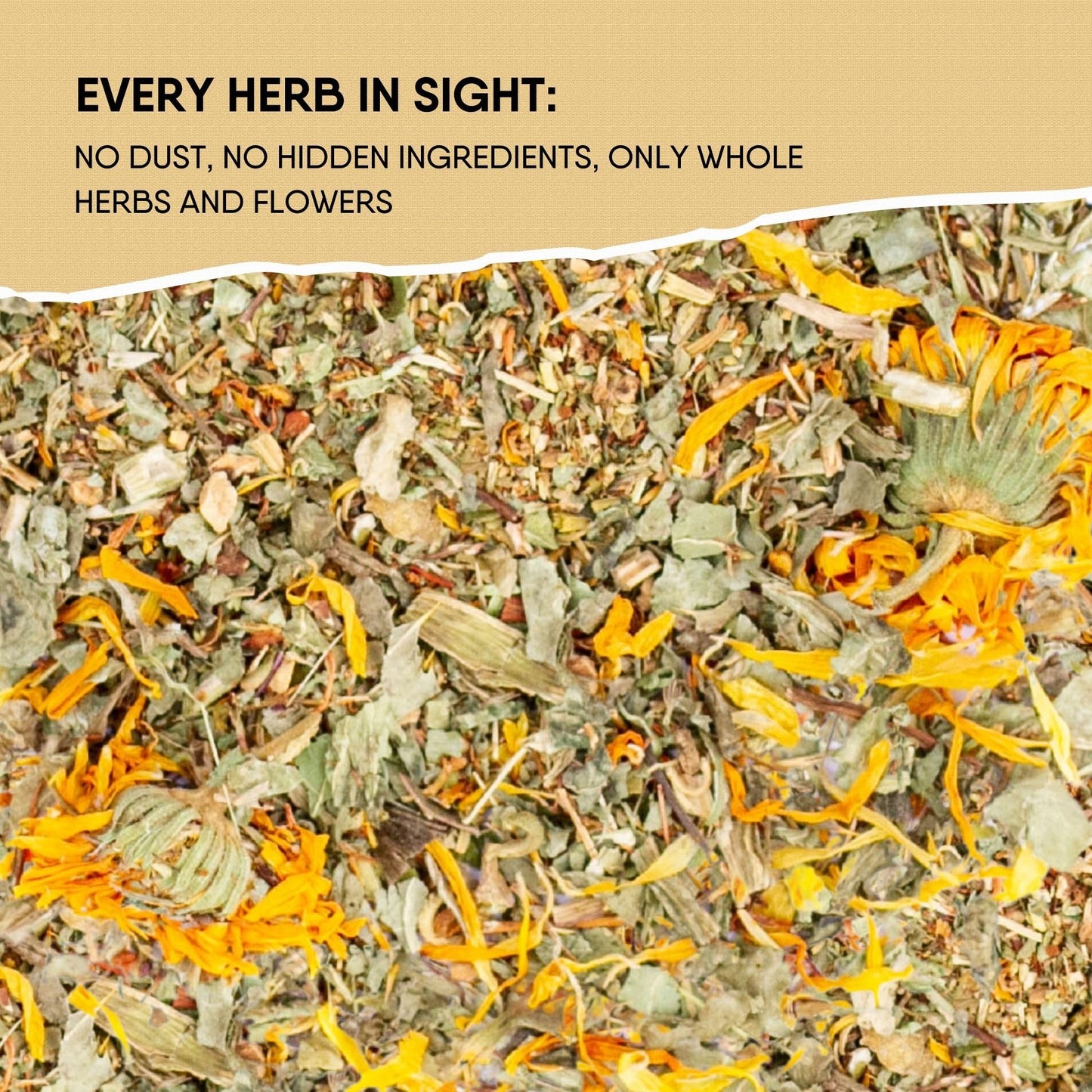 Leckar Herbal Detox Tea Blend with Dandelion Root Calendula Echinacea Oregano St. John's Wort Milk Thistle Kidney & Liver Health (Herbal Tea)