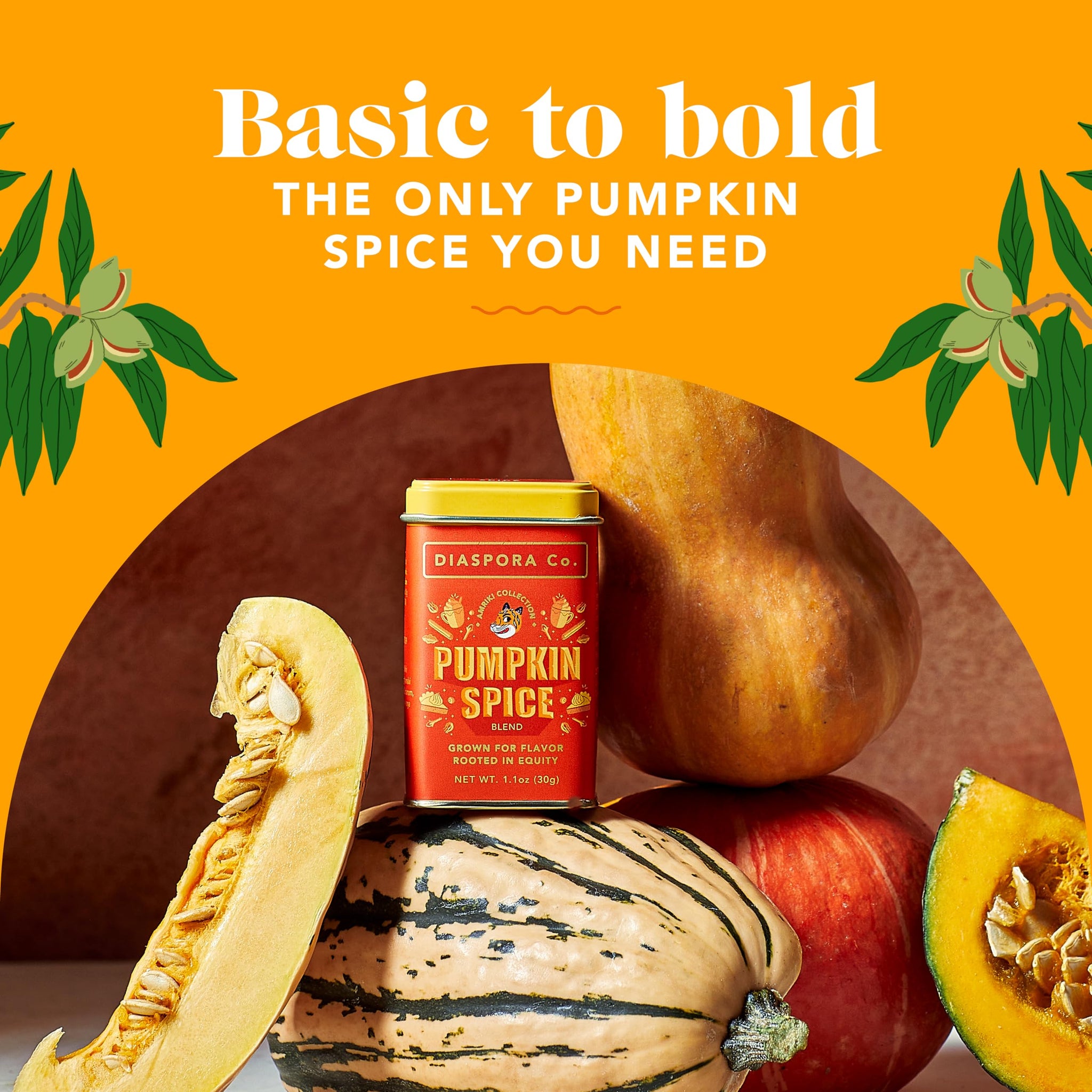 Diaspora Co., Pumpkin Spice Blend, 1.1 Ounce