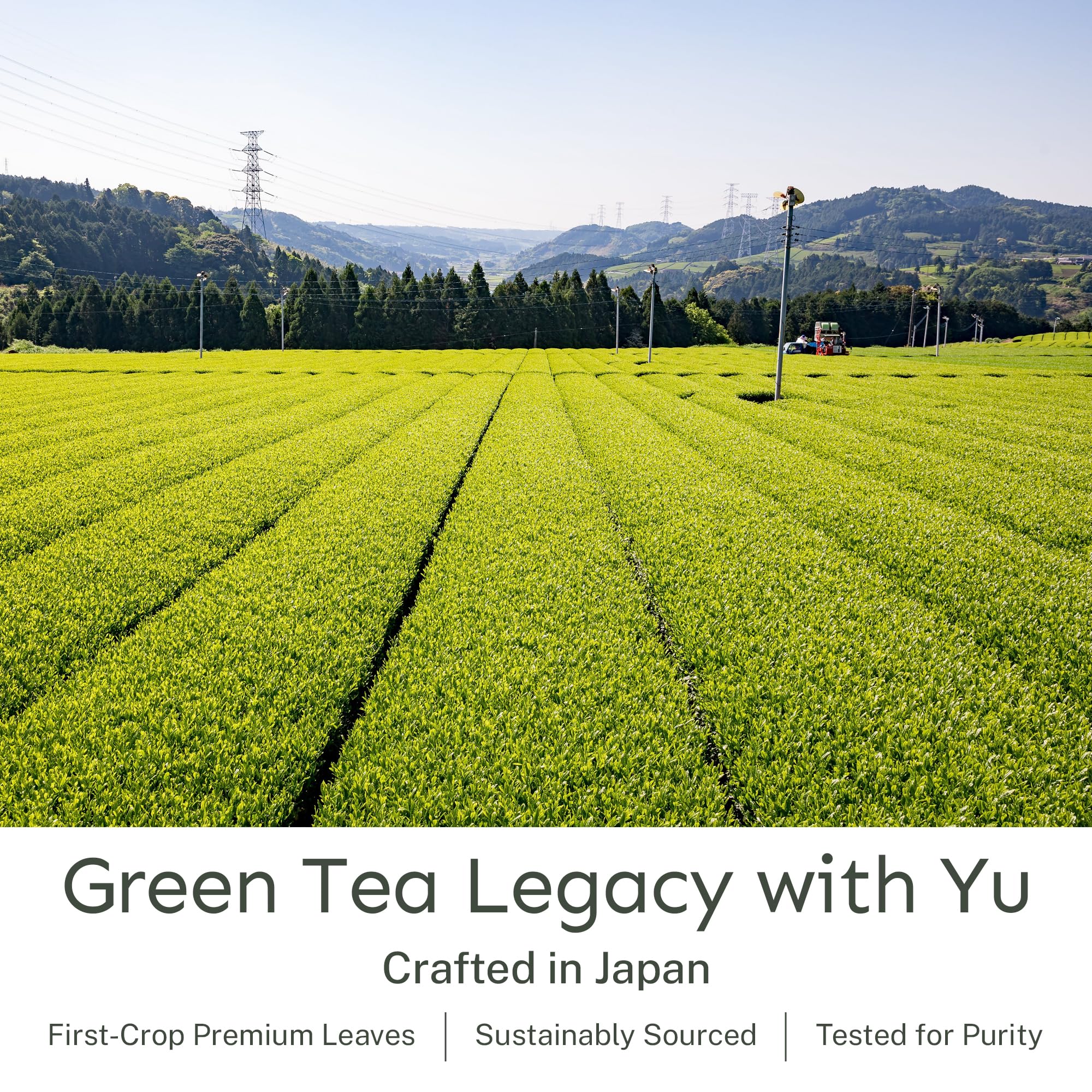 Yu Tea Organic Genmaicha Green Tea Powder, 30 Instant Packets | Japanese Green Tea & Roasted Brown Rice | Low Caffeine & Unsweetened | Relaxation