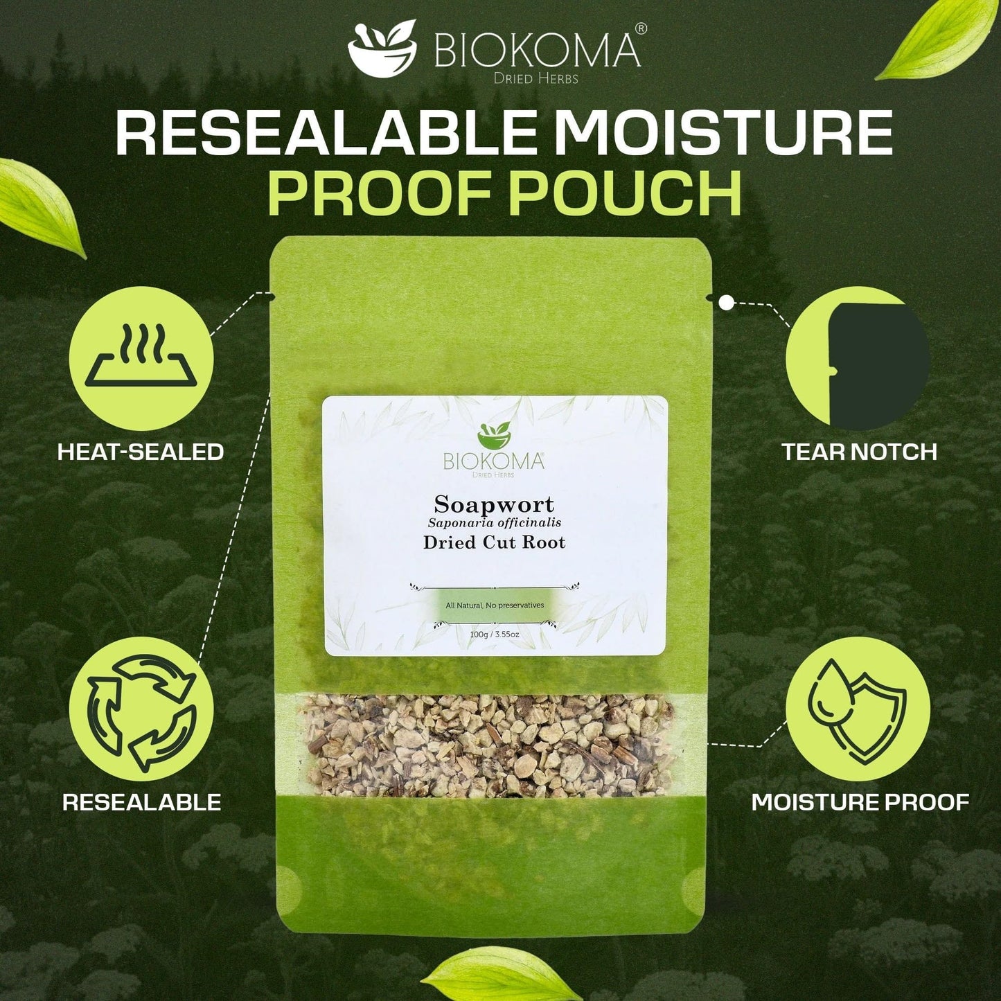 Biokoma Soapwort Dried Root 3.55oz - Saponaria officinalis Herbal Tea Cut Root - Pure Natural Dried Herbs - Resealable Moisture Proof Pouch - No