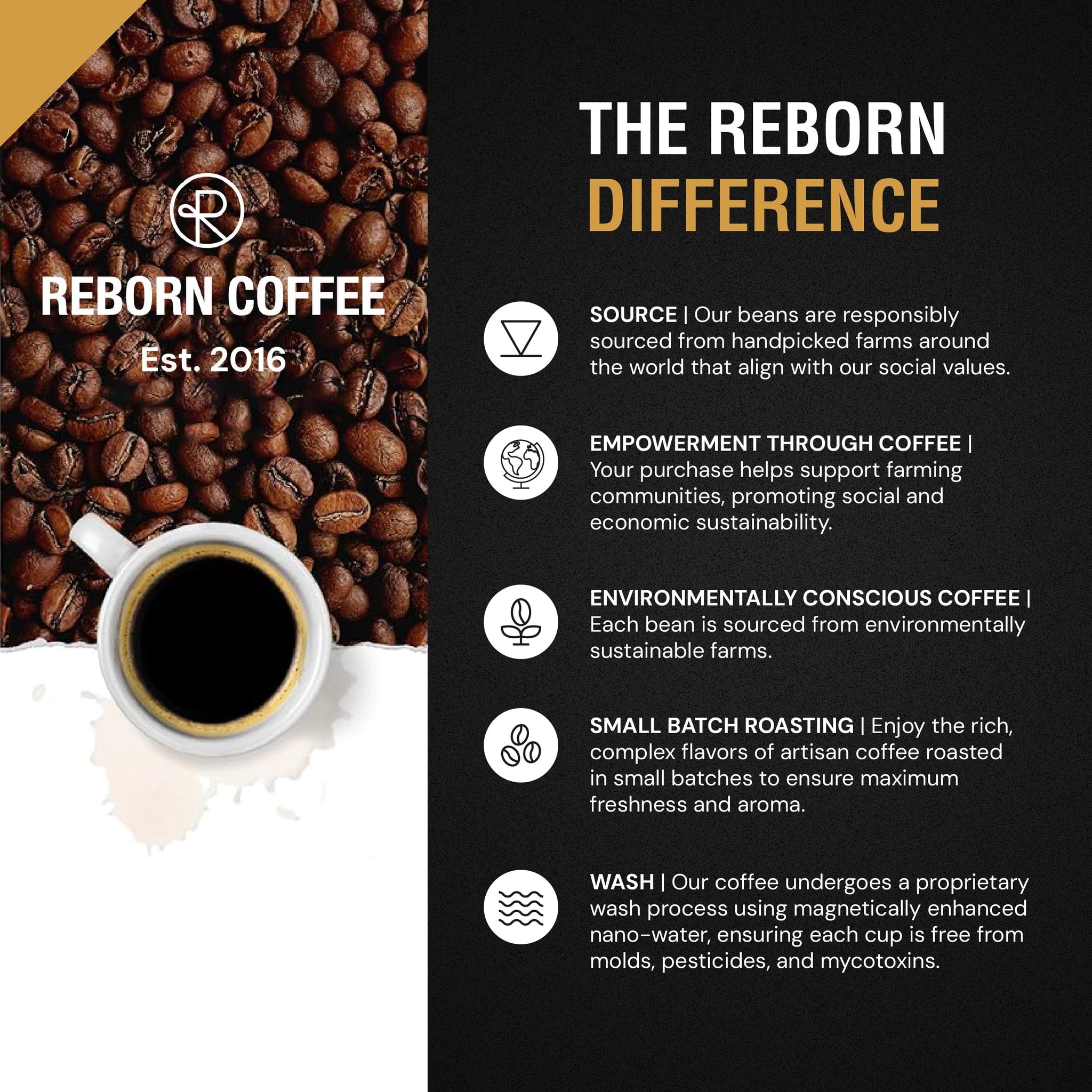 Reborn Coffee Specialty Whole Bean Coffee, Full City Dark Roast, 12 Ounce, Colombia Blend, Notes of Toasted Marshmallow, Roasted Chestnut, and Cacao