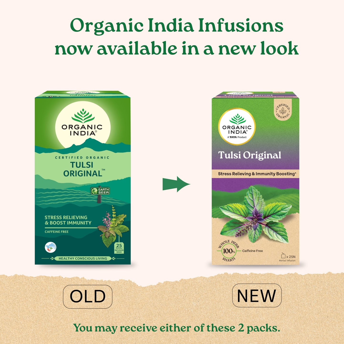 Organic India Organic Tulsi Original Tea, 25 CT