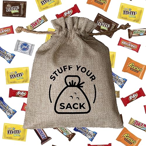 Halloween Care Package Chocolate Candy Variety Pack 3 lb - Bite-Size Milk & Dark Chocolate Minis for Chocolate Lovers by Stuff Your Sack