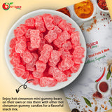 NY Spice Shop Cinnamon Bears Candy - 1 Pound Hot and Spicy Cinnamon Bears Gummy - Chewy Candy Gummies Snacking, Gifting & Party Favors - Old Fashioned
