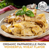 Morelli Organic Pappardelle Pasta Noodles Imported from Italy, Made with Italian Durum Wheat Semolina - 17.6 oz (500 g) - Pack of 2