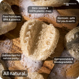 LoofaGO (10-Pack) Natural Loofah Sponges - 100% Biodegradable, Compostable & Plastic-Free, Non-Scratch Scrubbers for Kitchen, Dishes & Bath