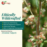 NY Spice Shop Mugwort Herb Dried Cut And Sifted - 8 Ounce Dry Artemisia Vulgaris Herbs - Natural Premium Mugwort Herb for Herbal Tea - Natural