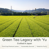 Yu Tea Organic Ceremonial Grade Matcha Powder, 30 Instant Packets | Packed with Antioxidants, L-Theanine & Natural Caffeine | Unsweetened Grade A