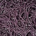 Smarty Stop Licorice Laces Gummy Candy (Grape, 2 Pound (Pack of 1))