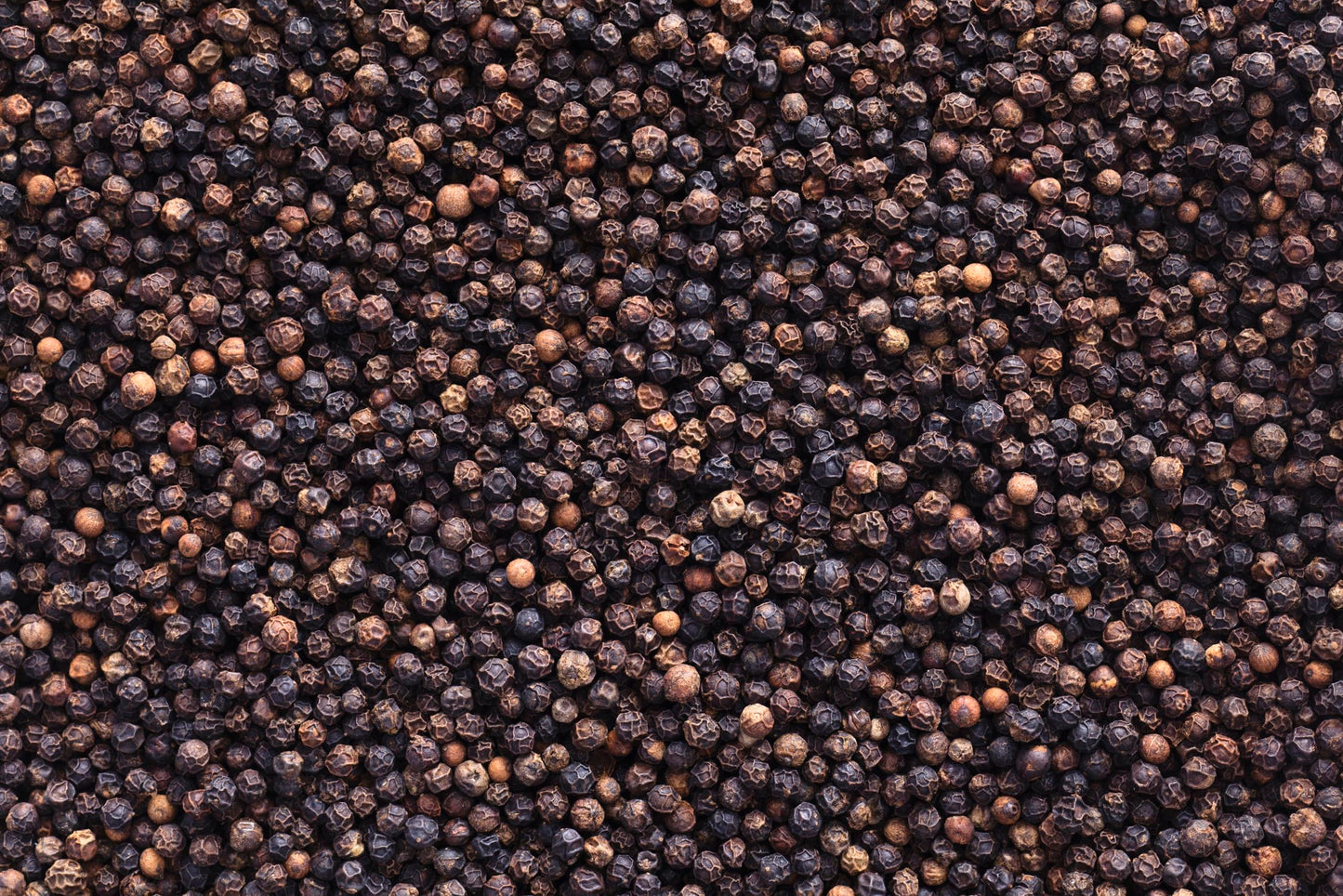 Viva Doria Tellicherry Peppercorn, Whole Black Pepper, Steam Sterilized Black Peppercorns, 24 lbs (10.88 kg) BULK