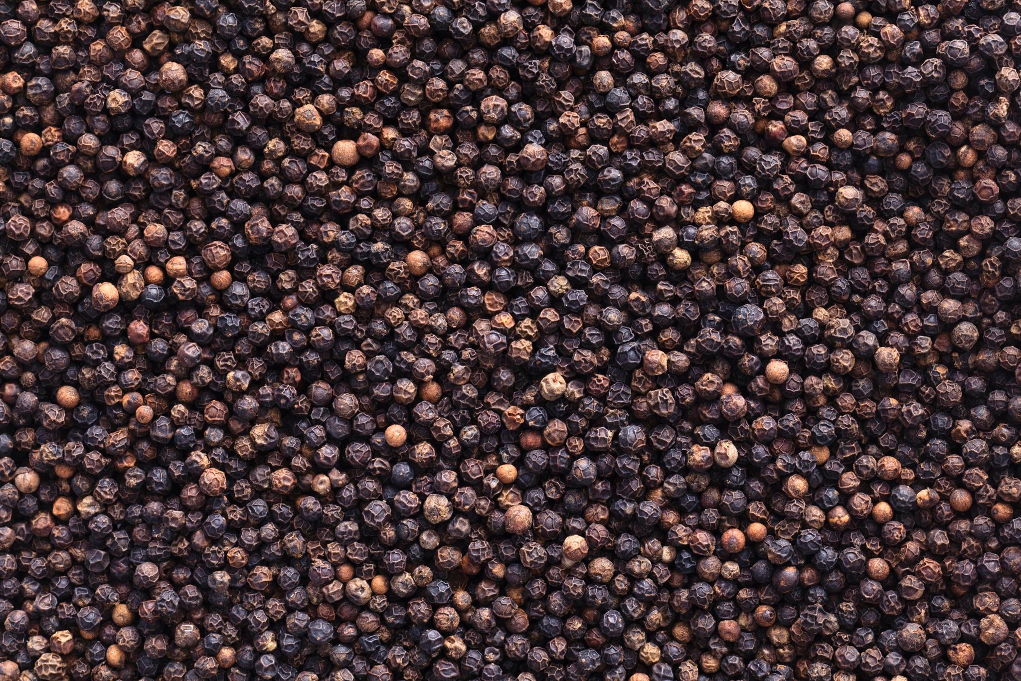 Viva Doria Tellicherry Peppercorn, Whole Black Pepper, Steam Sterilized Black Peppercorns, 24 lbs (10.88 kg) BULK