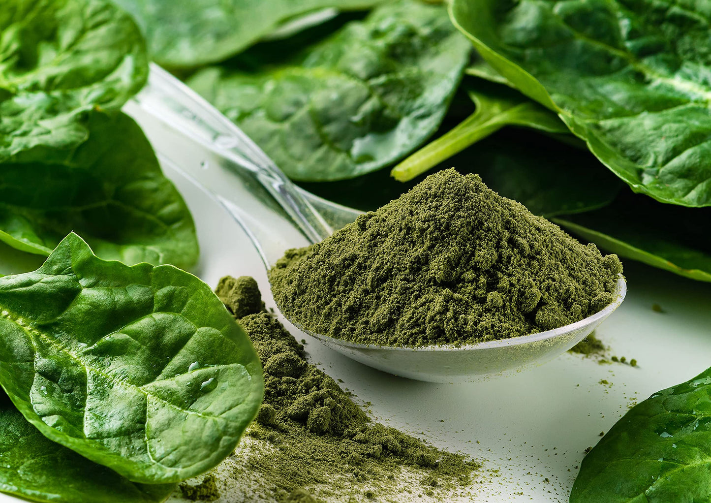 Food to Live Organic Spinach Powder, 1 Pound - Non-GMO, Finely Ground Dehydrated Leaves, Pure, Vegan, Kosher, Bulk. Source of Fiber, Vitamin A, Iron