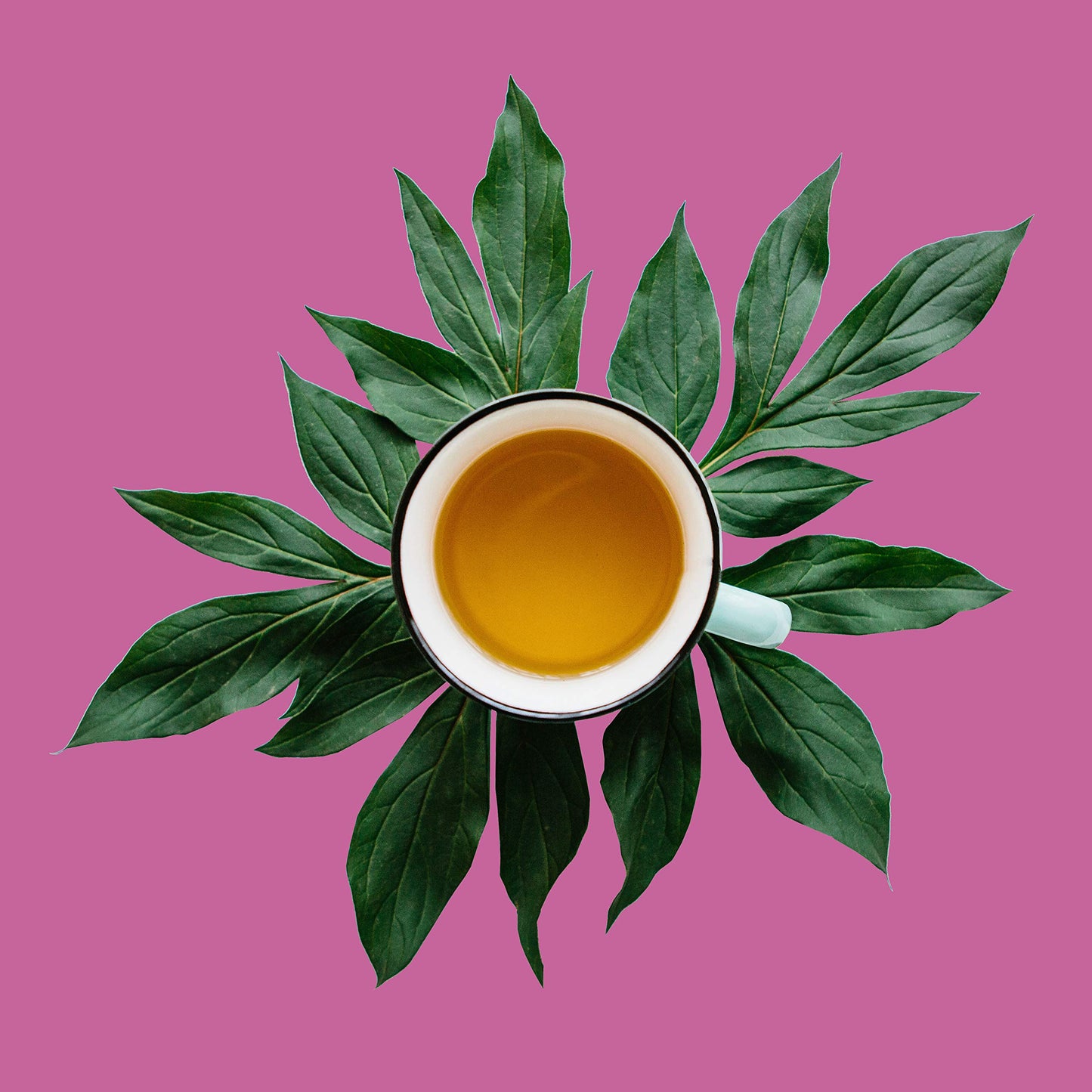The Spice Hut Lemon Drop Loose Leaf Herbal Tea, 8 oz