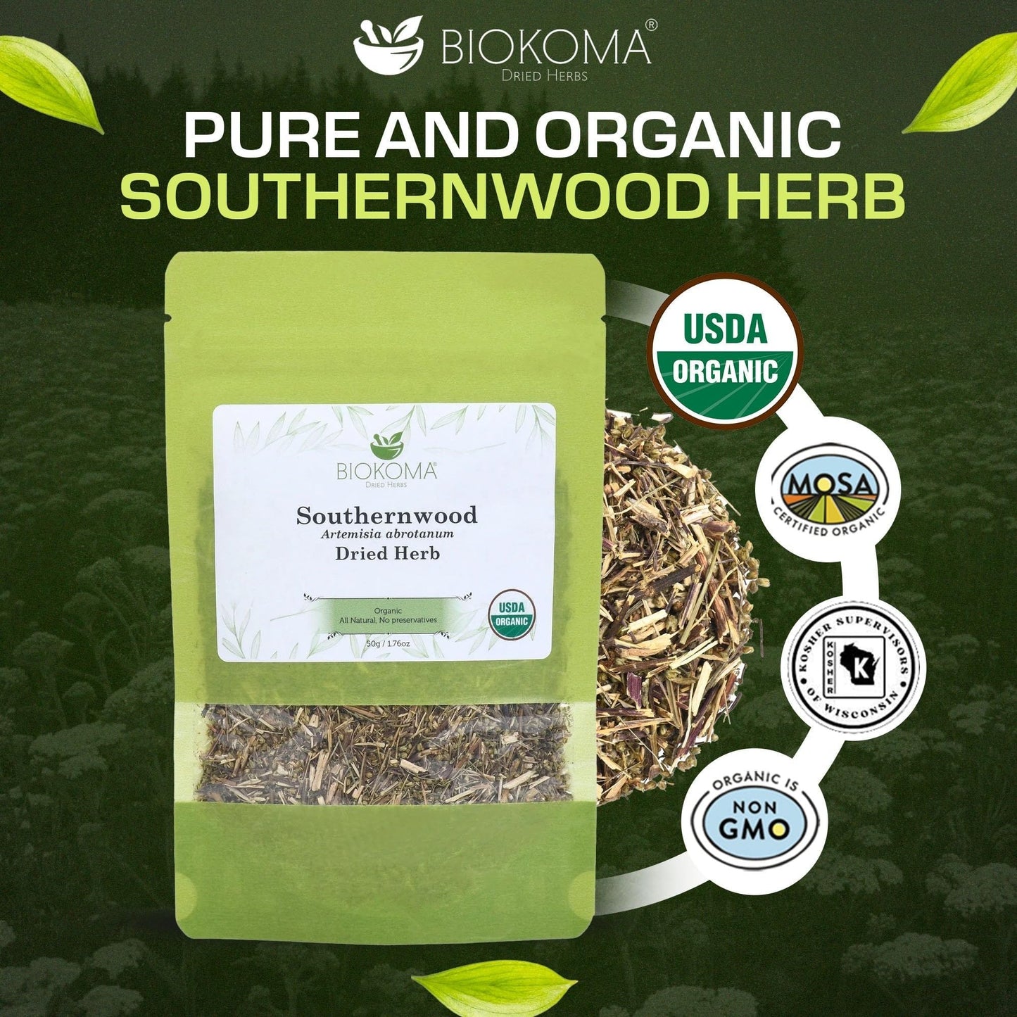 Biokoma Organic Southernwood Dried Herb 50g 1.76oz Loose Artemisia abrotanum Digestive Calming Botanical Insect Repellent USDA Organic Herbal Tea