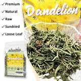 Dandelion Loose Leaf Root Tea 4.4 Ounce(125g), Diente de Leon Natural Herbal Tea for Kidney & Liver, Aid in Digestion, Raw, Caffeine-Free
