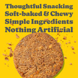 Love + Chew Mini Vegan Cookies, Gluten Free, 3g Plant Based Protein Per Cookie, Healthy Snacks for Adults and Kids, Refined Sugar Free, Individually