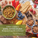 Witzi's Raw Granola, Golden Granola, 10oz (Pack of 2) - Paleo + Keto + Grain-Free Certified - Soaked + Dehydrated - Organic Ingredients,2 Pack