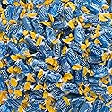 Blue Raspberry Jolly Hard Candy Bulk - All Blue Ranchers Only (1 Pound)