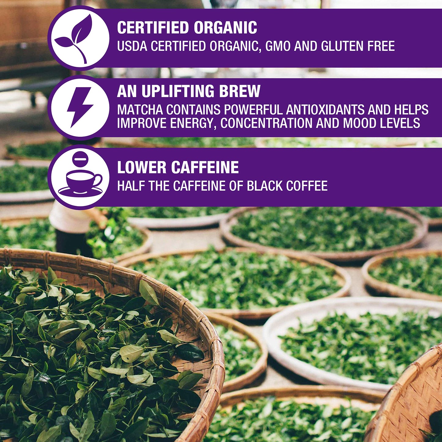 Tipson Organic Matcha Green Tea - Blueberry Flavor - 25 Foil Enveloped Double Chambered Bags - Keto/Paleo