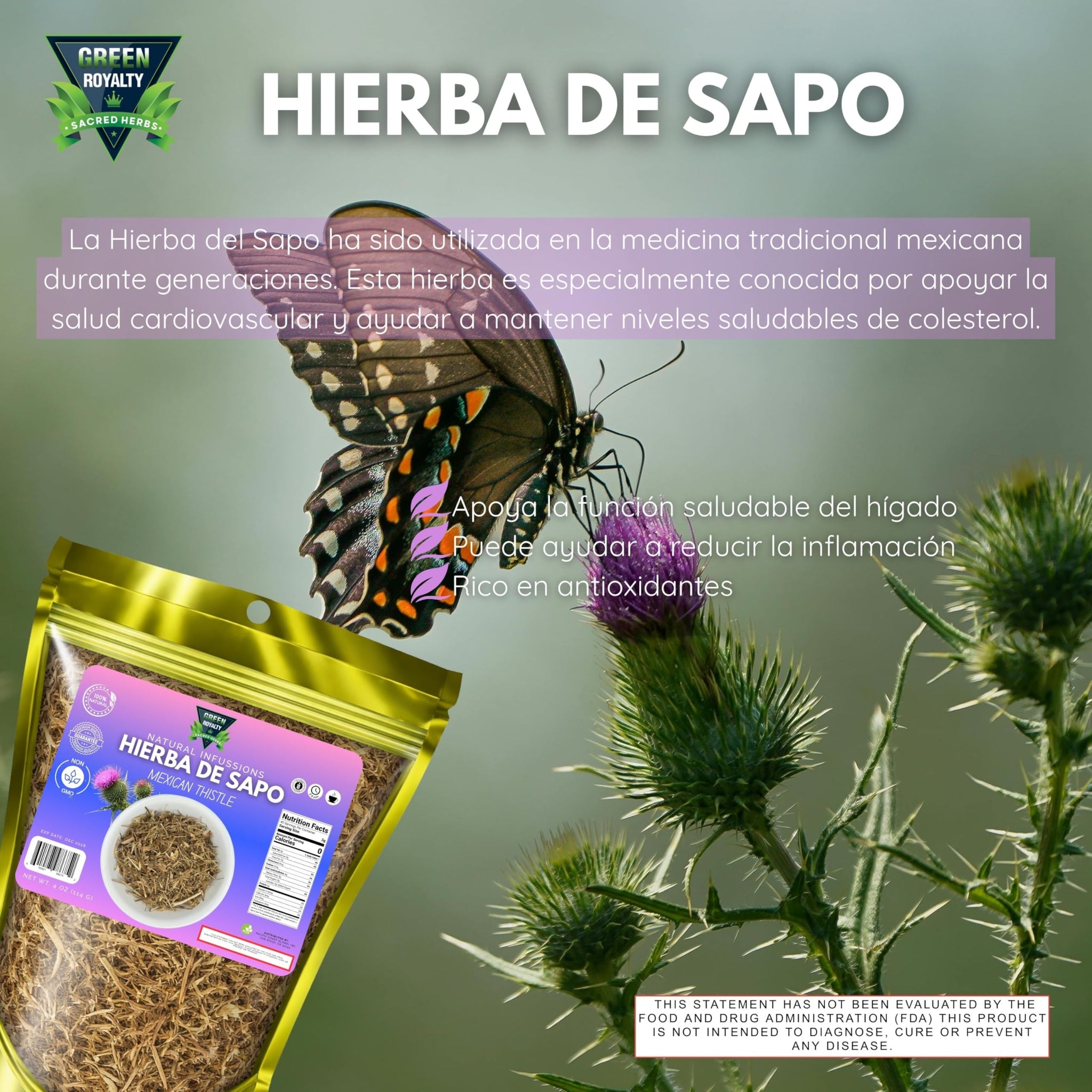 Green Royalty Hierba de Sapo (Mexican Thistle) - Natural Dried Herb for Herbal Tea & Infusions - 4 oz (114 g) Resealable bag