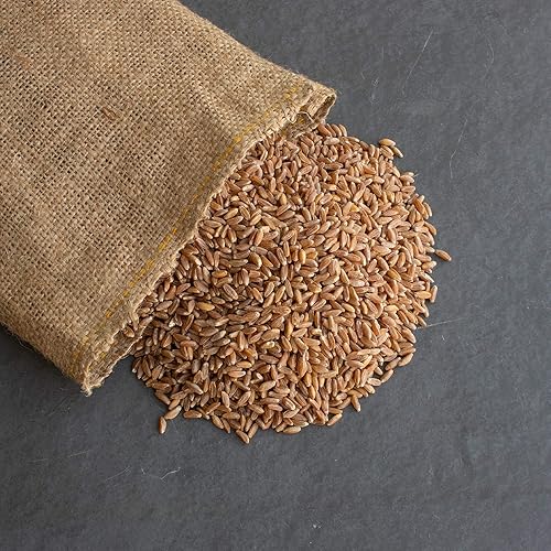 Organic Pearled Emmer Wheat - AKA: True Farro - 4 Oz - Non-GMO - Bulk Grains for Grinding Into Flour, Cooking & More