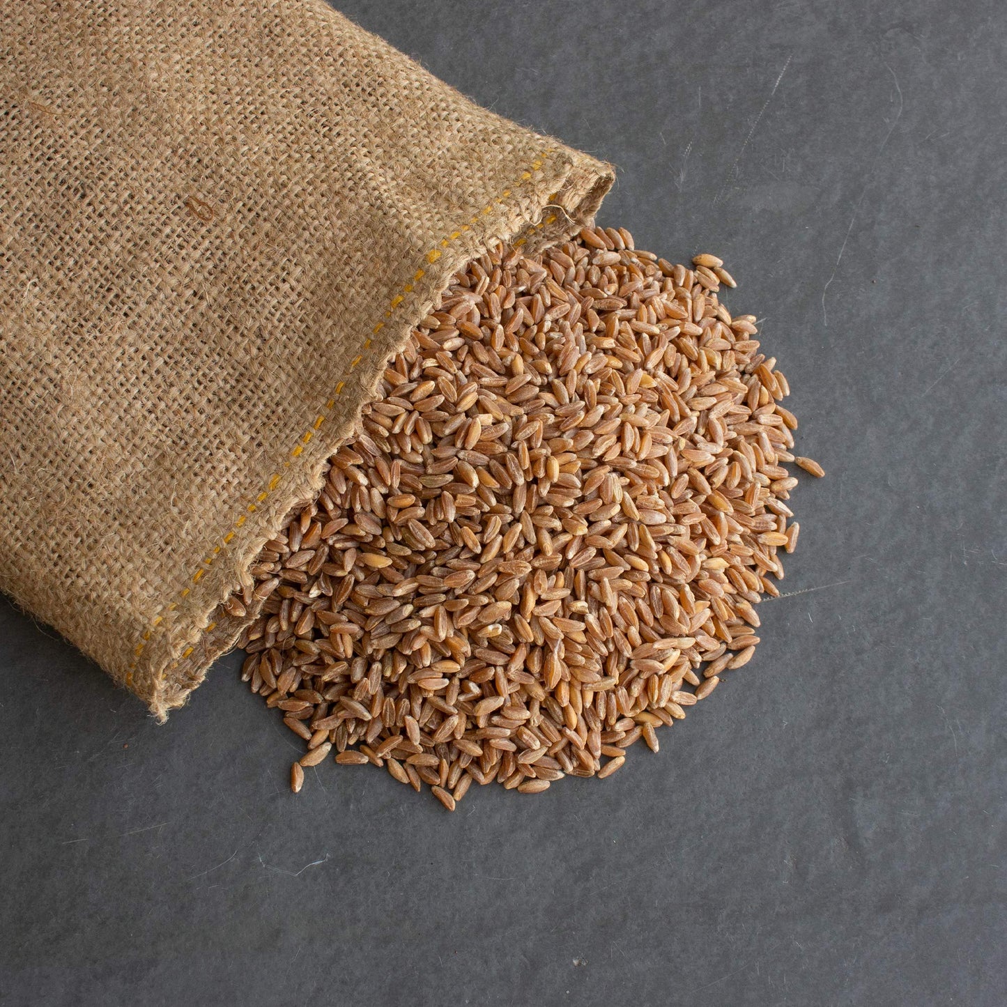 Organic Pearled Emmer Wheat - AKA: True Farro - 4 Oz - Non-GMO - Bulk Grains for Grinding Into Flour, Cooking & More