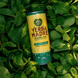 Yerba Madre Organic Sparkling Yerba Mate, Enlighten Mint, 115mg Natural Plant Based Caffeine, Smooth Energy & Focus, Carbonated, 12oz Cans (Pack