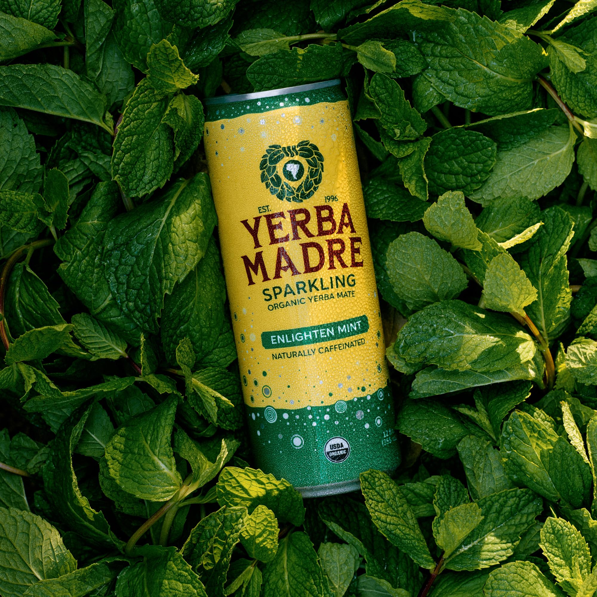 Yerba Madre Organic Sparkling Yerba Mate, Enlighten Mint, 115mg Natural Plant Based Caffeine, Smooth Energy & Focus, Carbonated, 12oz Cans (Pack