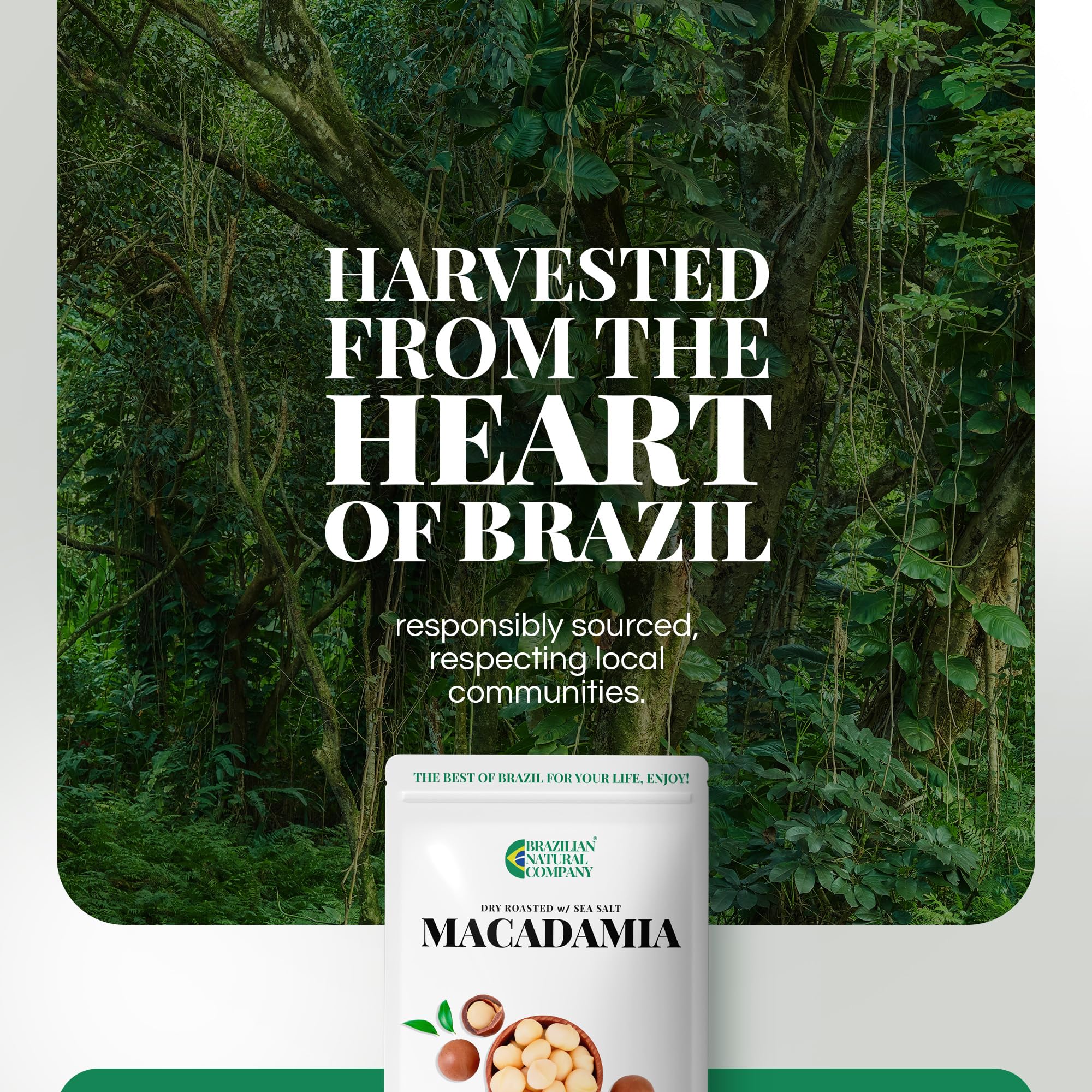 Macadamia Nuts 24 oz, Stand Up Pouch - Rich in Omega 3, Vitamins and Minerals - Natural Source of Skin and Well Being - Lightly Salted - Brazilian