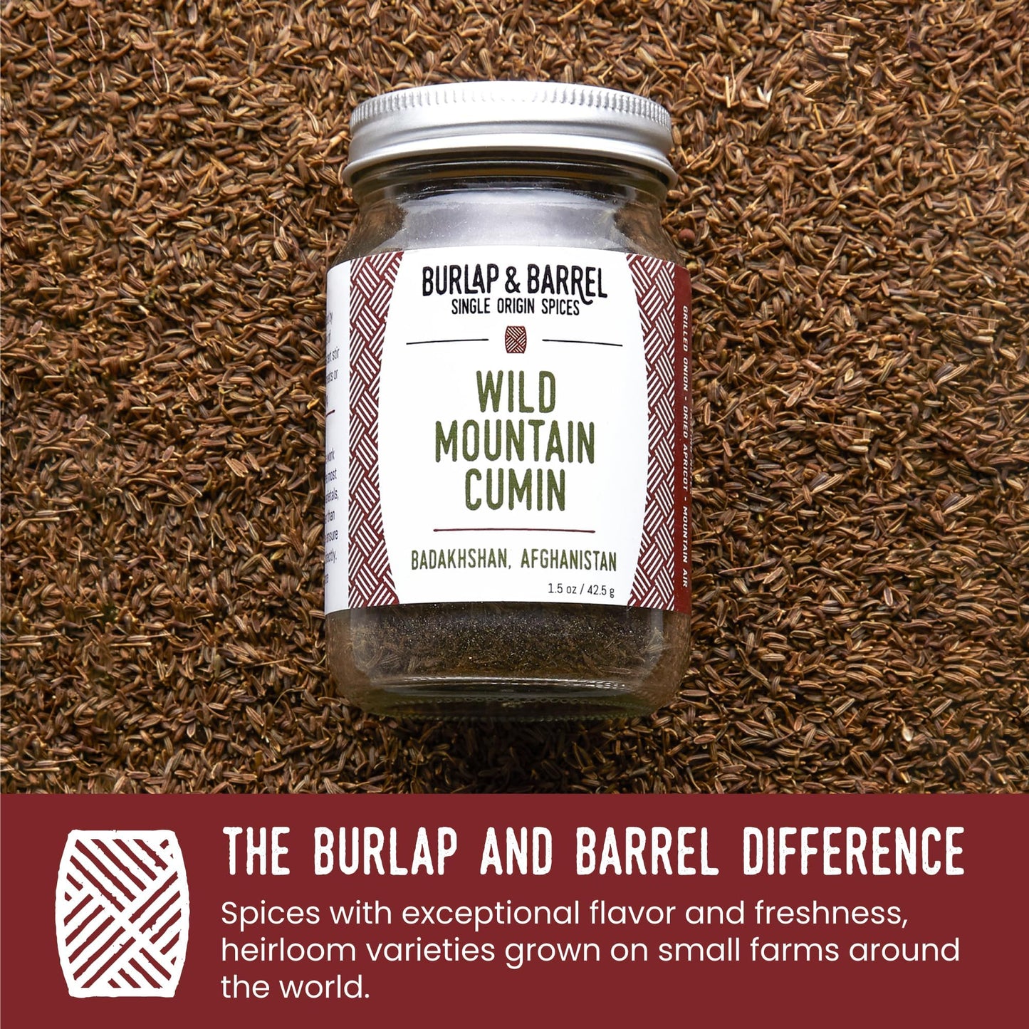 Burlap & Barrel Wild Mountain Cumin - Savory, Aromatic, and Bright Umami Flavor - Whole & Ground Cumin Seeds - As Seen On Shark Tank - 1.8oz Glass Jar