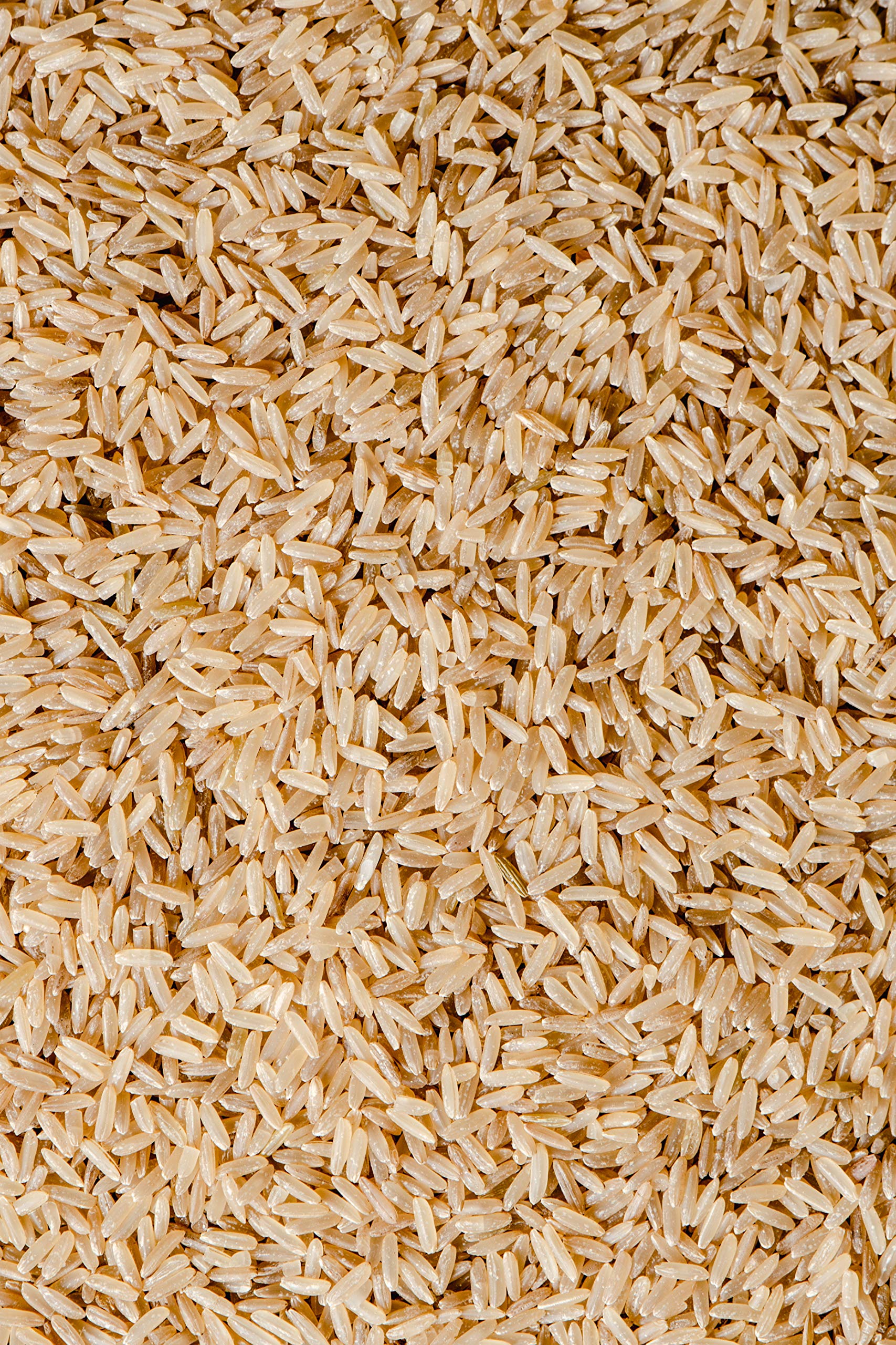Tsuru Mai Premier Brown Rice Gluten Free, 15 lbs